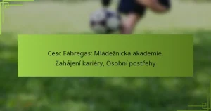 Cesc Fàbregas: Mládežnická akademie, Zahájení kariéry, Osobní postřehy