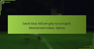 David Silva: Klíčové góly na turnajích, Mezinárodní odkaz, Výkony