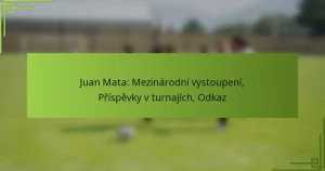 Juan Mata: Mezinárodní vystoupení, Příspěvky v turnajích, Odkaz