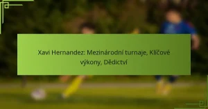 Xavi Hernandez: Mezinárodní turnaje, Klíčové výkony, Dědictví