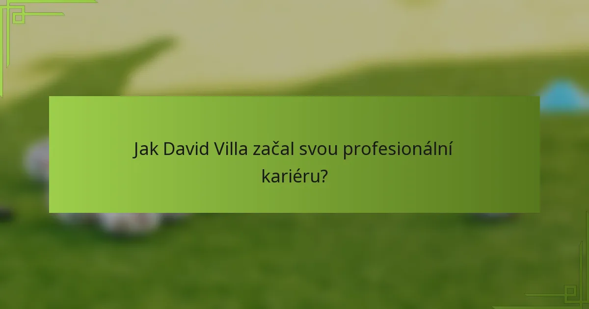 Jak David Villa začal svou profesionální kariéru?