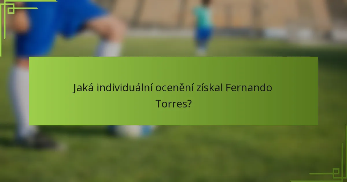 Jaká individuální ocenění získal Fernando Torres?