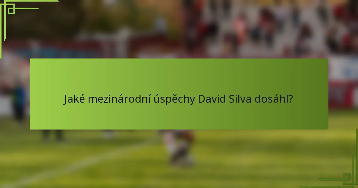 Jaké mezinárodní úspěchy David Silva dosáhl?